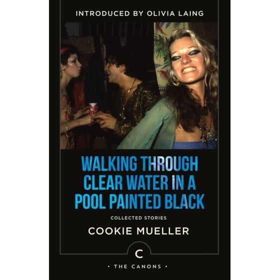 Walking Through Clear Water In a Pool Painted Black : Collected Stories image 0