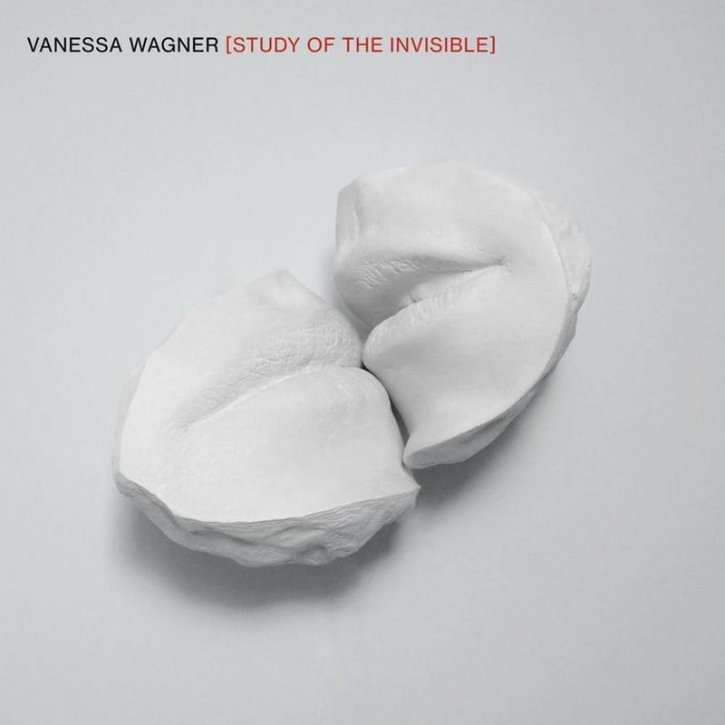 Study Of The Invisible (2lp)