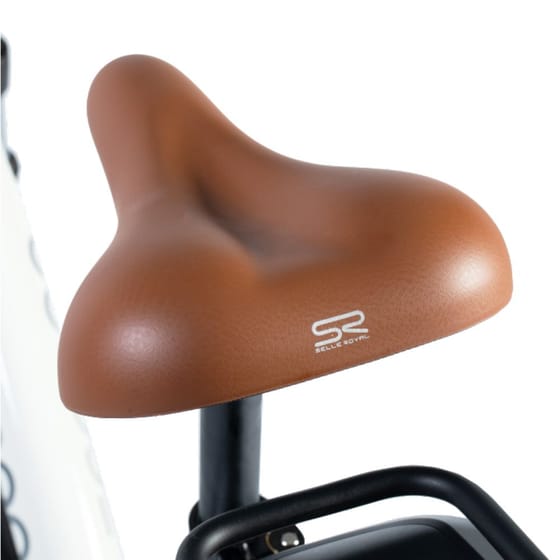 Ηλεκτρικό Ποδήλατο Egoboo Nostalgic Ride - Fog White image 1