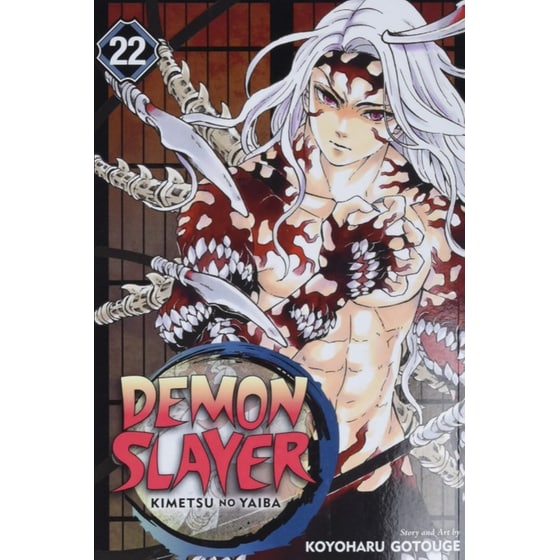 Demon Slayer: Kimetsu no Yaiba, Vol. 22 image 0