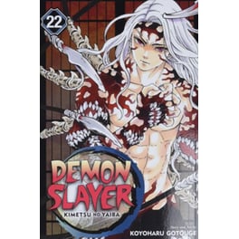 Demon Slayer: Kimetsu no Yaiba, Vol. 22