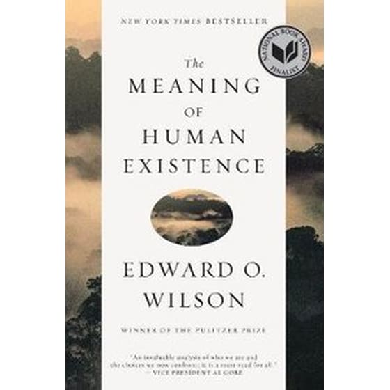 Meaning of Human Existence image 0