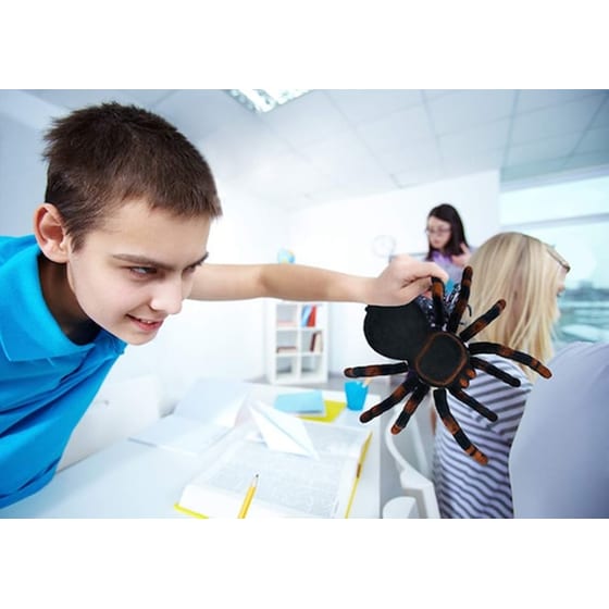Rc Τηλεκατευθυνόμενο Παιχνίδι Αράχνη Tarantula Με Φως, Συχνότητα 27 Mhz, Εύρος 4 Μέτρα image 2