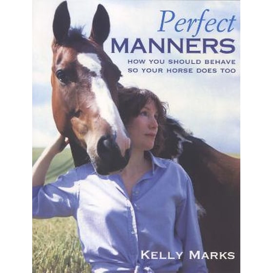Perfect Manners image 0