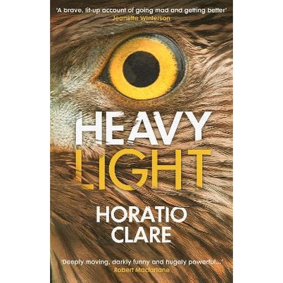 Heavy Light image 0