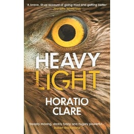 Heavy Light