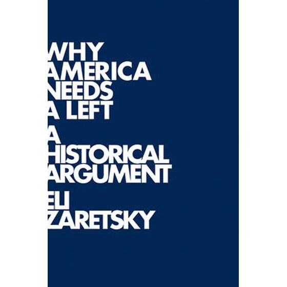 Why America Needs a Left image 0