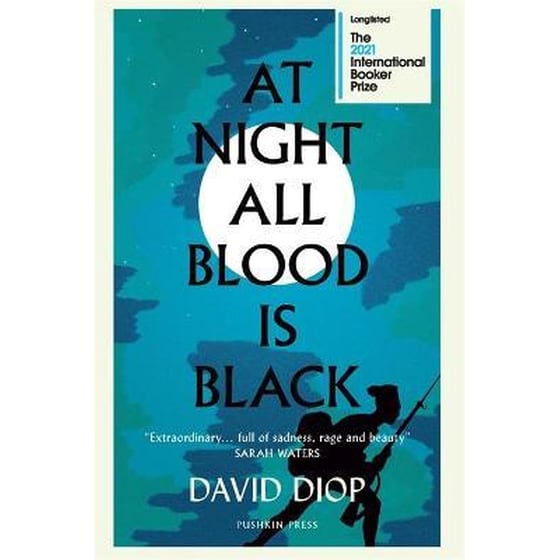 At Night All Blood is Black image 0