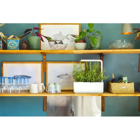 Ζαρντινιέρα Click and Grow Smart Garden 3 1.2 lt - Λευκή image 8
