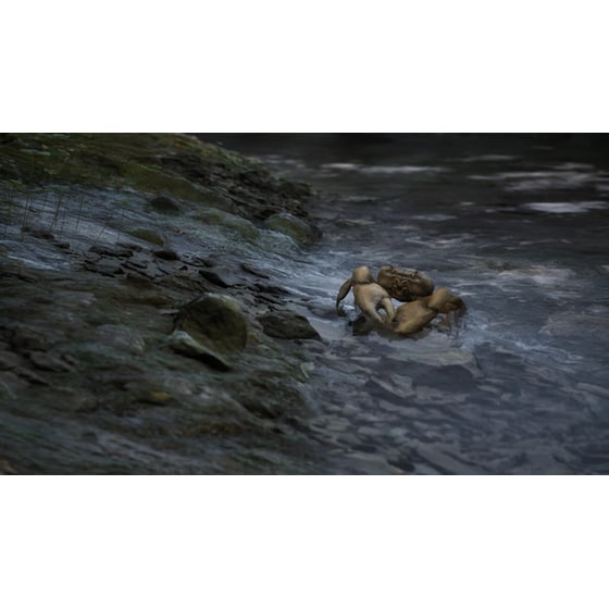 Metal Gear Solid Delta: Snake Eater Day One Edition - Xbox Series X image 7