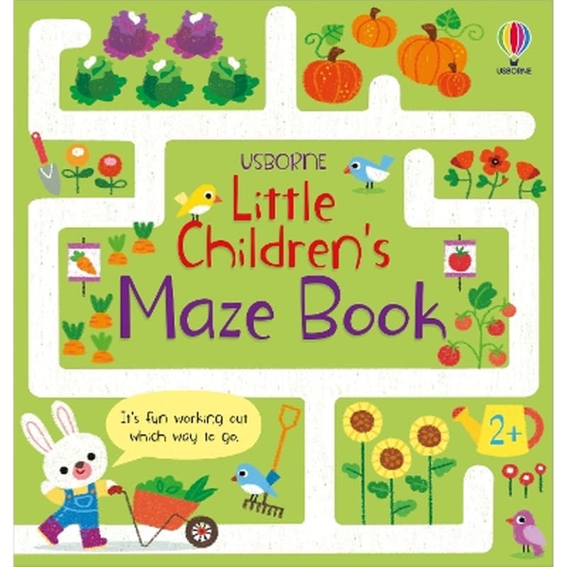 Little Childrens Maze Book
