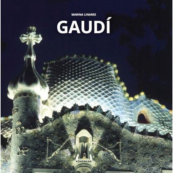 Gaudi image 0