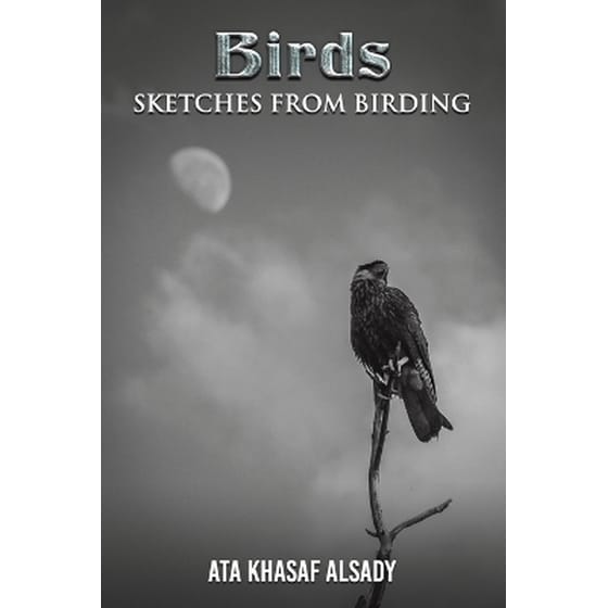 Birds: Sketches from Birding image 0