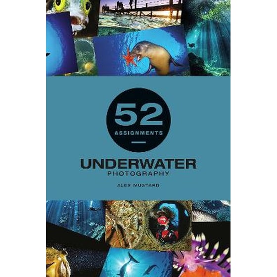 52 Assignments: Underwater Photography image 0