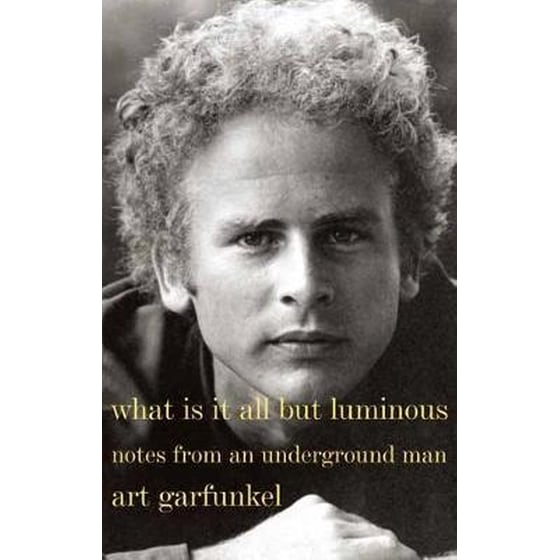 What Is It All But Luminous image 0