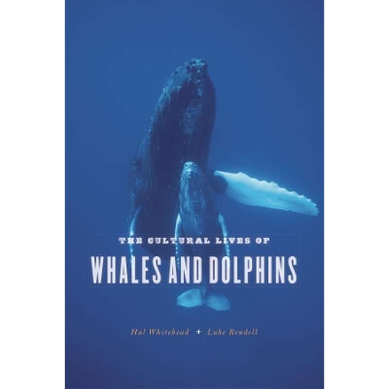 The Cultural Lives of Whales and Dolphins
