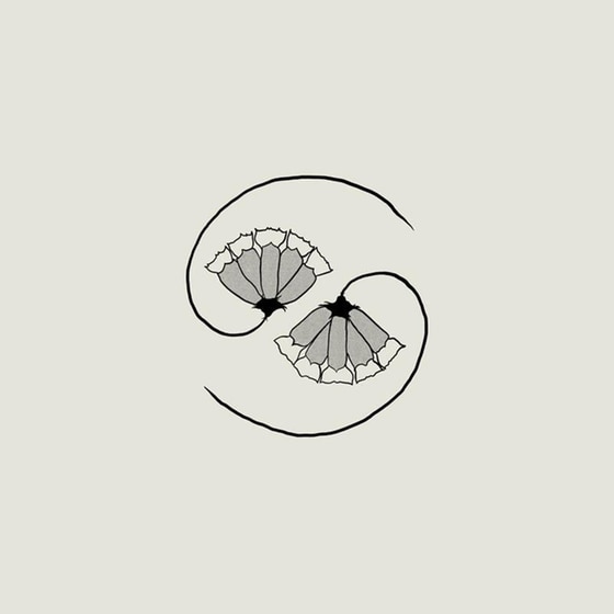 G_d's Pee At State's End (Lp+10") image 0