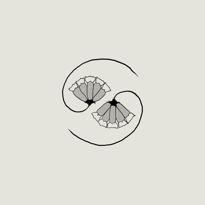 G_ds Pee At States End (Lp+10)