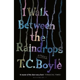 I Walk Between the Raindrops