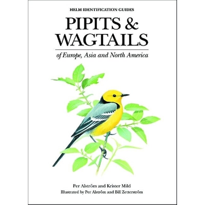 Pipits and Wagtails of Europe, Asia and North America