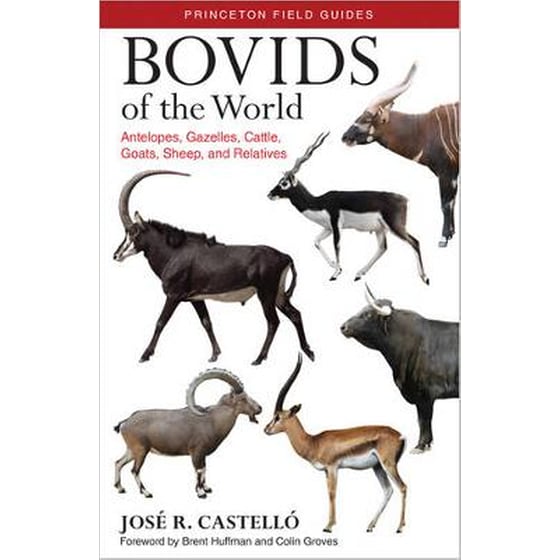 Bovids of the World image 0