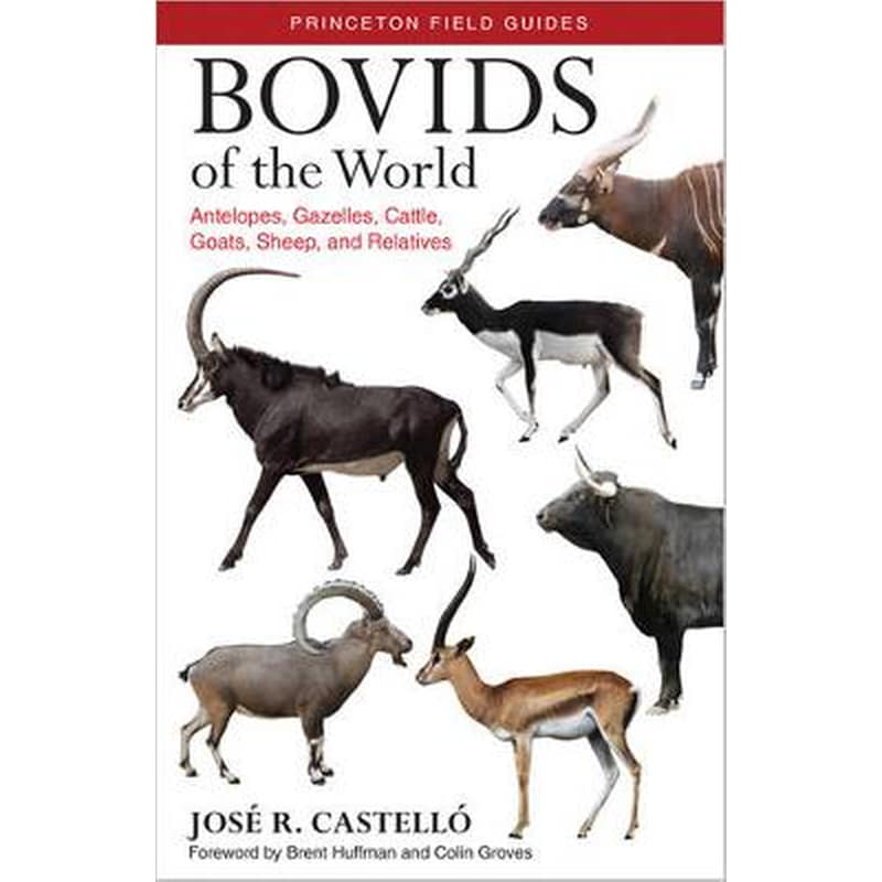 Bovids of the World