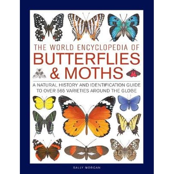 Butterflies & Moths, The World Encyclopedia of image 0