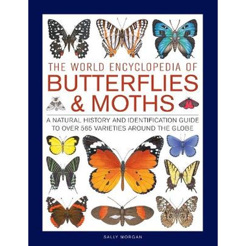 Butterflies Moths, The World Encyclopedia of