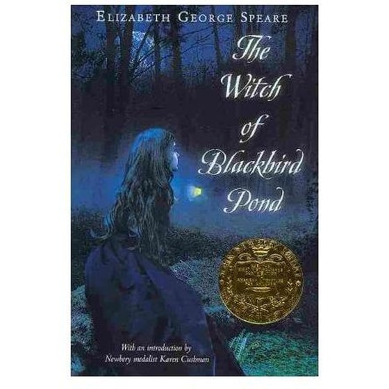 Witch of Blackbird Pond image 0