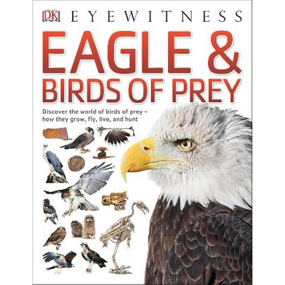 Eagle & Birds of Prey image 0