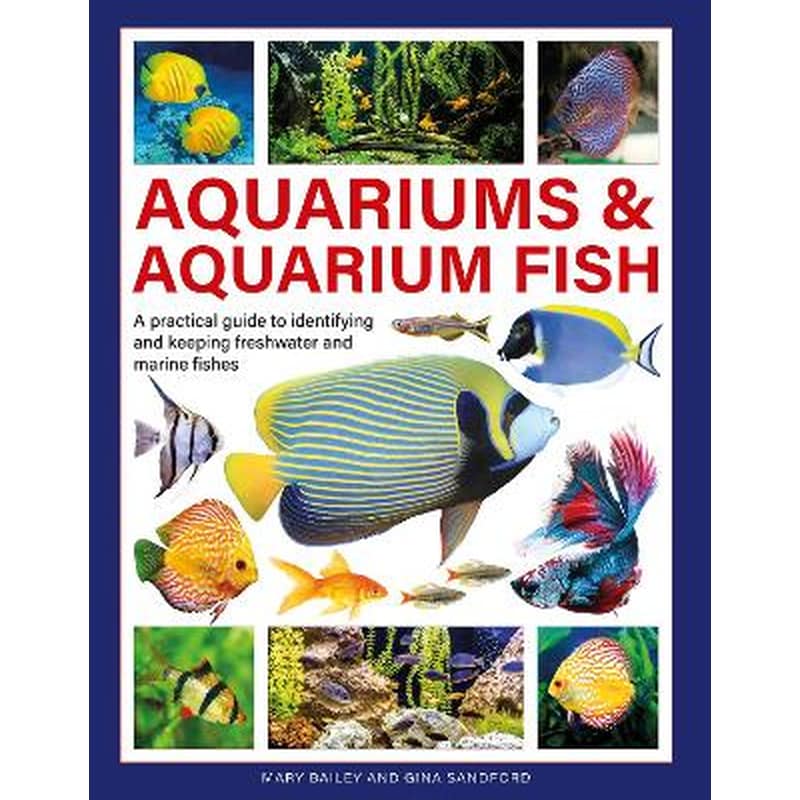 Aquariums Aquarium Fish