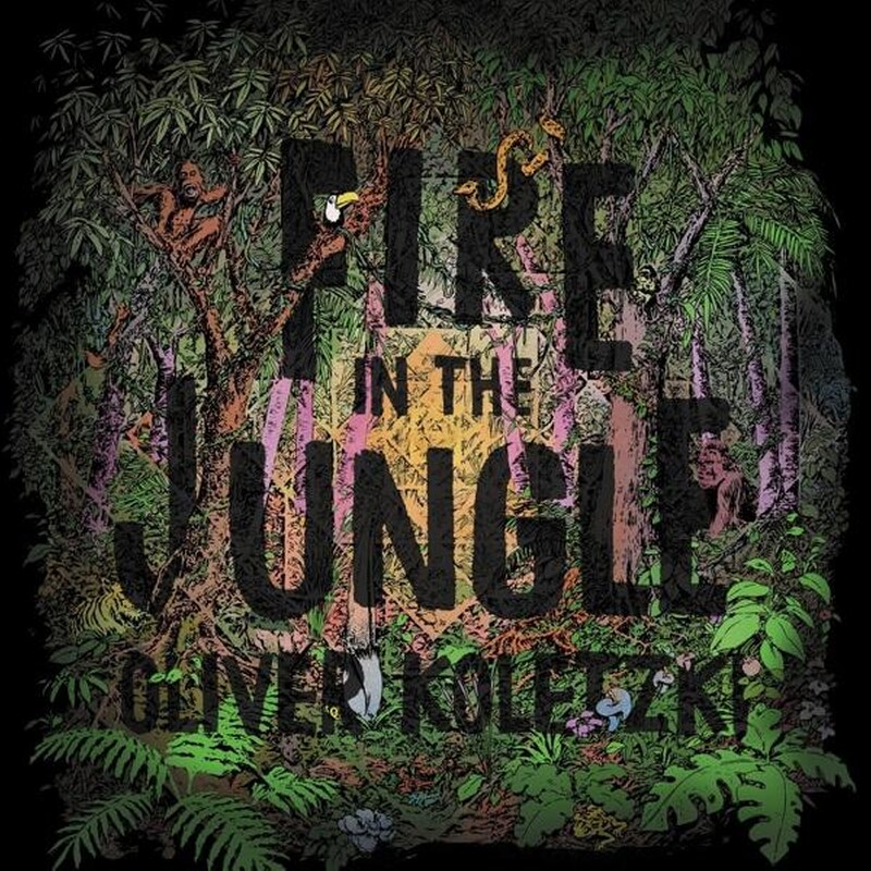 Fire In The Jungle (CD+Mp3)
