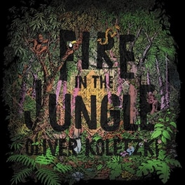 Fire In The Jungle (CD+Mp3)