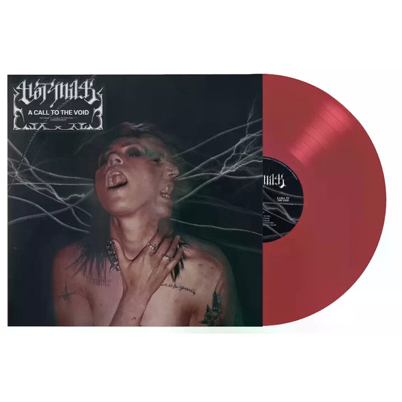 A Call To The Void (LP)