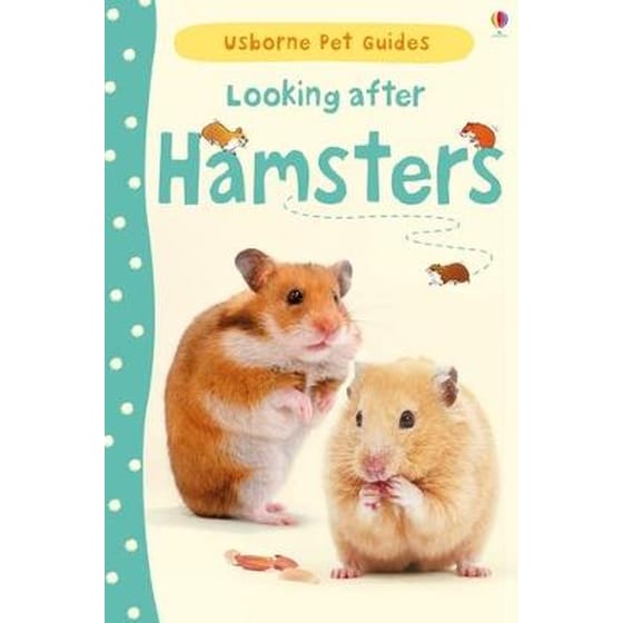 Looking after Hamsters image 0