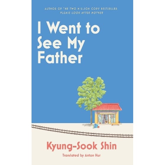 I Went to See My Father image 0