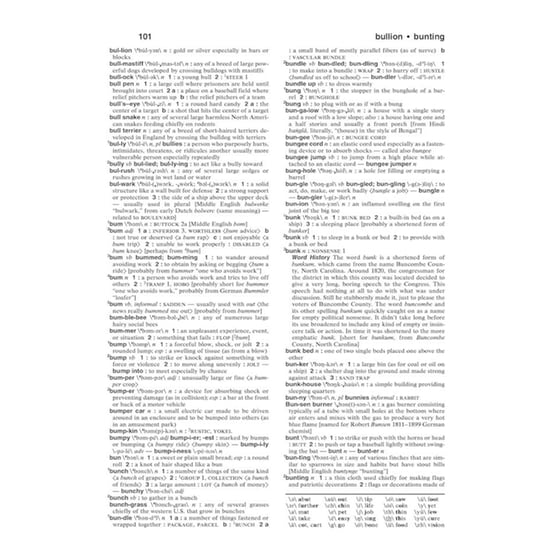 Merriam Webster's Intermediate Dictionary image 1