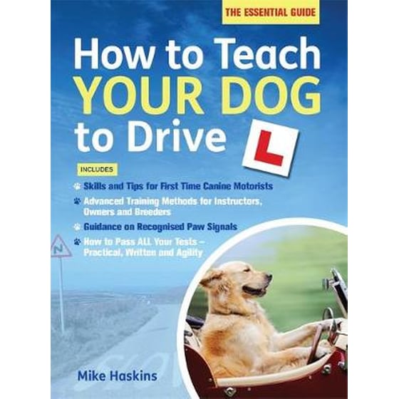 How to Teach your Dog to Drive image 0