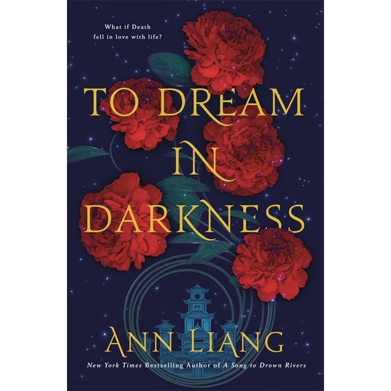 To Dream in Darkness