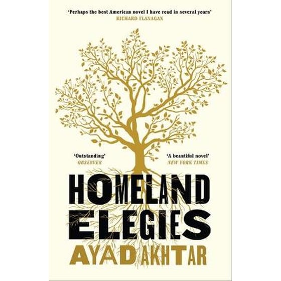 Homeland Elegies image 0