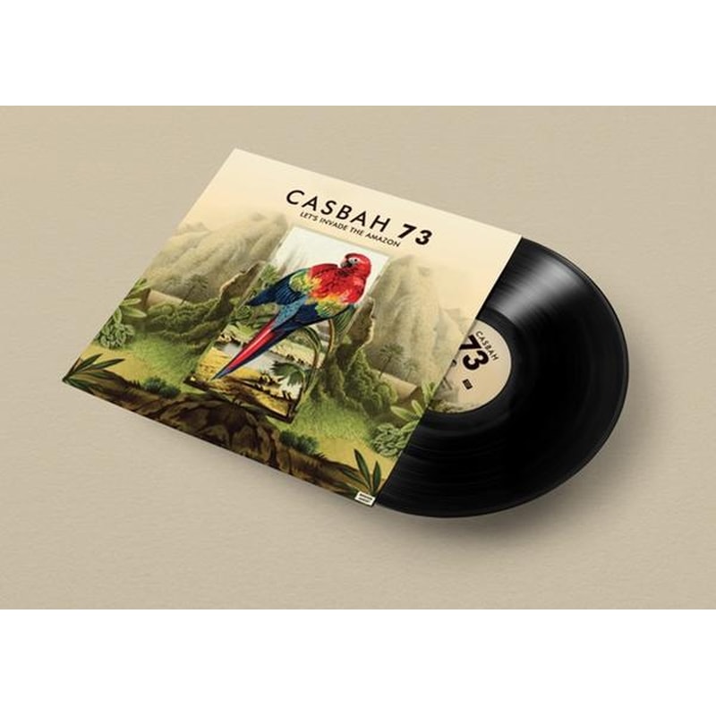 Lets Invade The Amazon