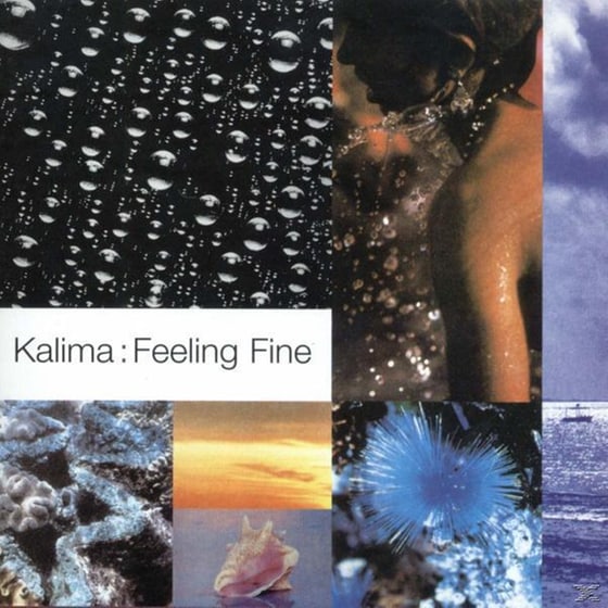 Feeling Fine + Singles image 0