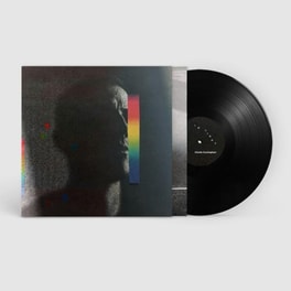 In Light (LP)