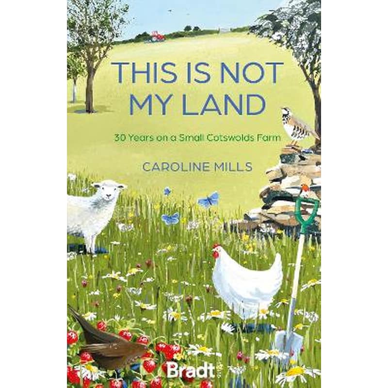 This is not my land