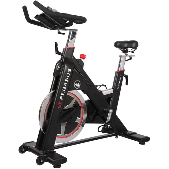 PEGASUS PG5 Ποδήλατο Spinning Μαγνητικό με Ροδάκια image 0