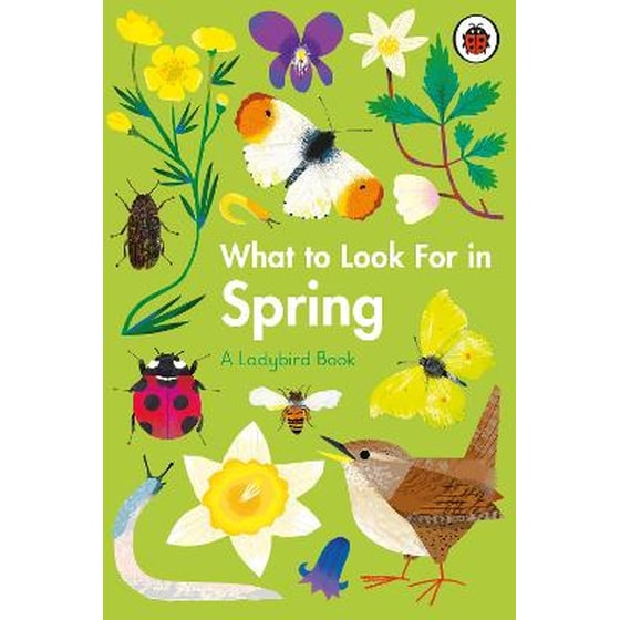 What to Look For in Spring image 0