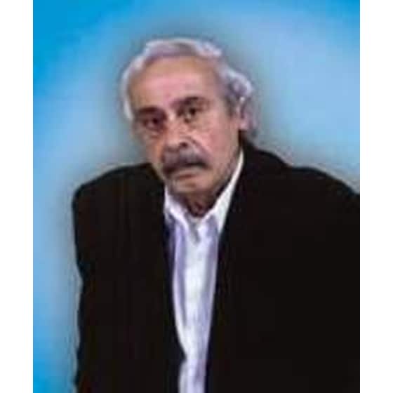 Το όνειρο της επιστροφής image 1