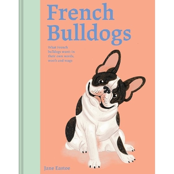 French Bulldogs image 0