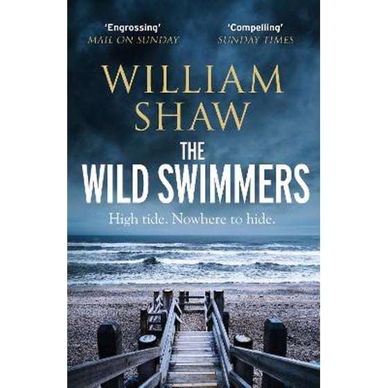The Wild Swimmers image 0