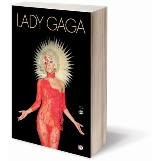 Lady Gaga image 2